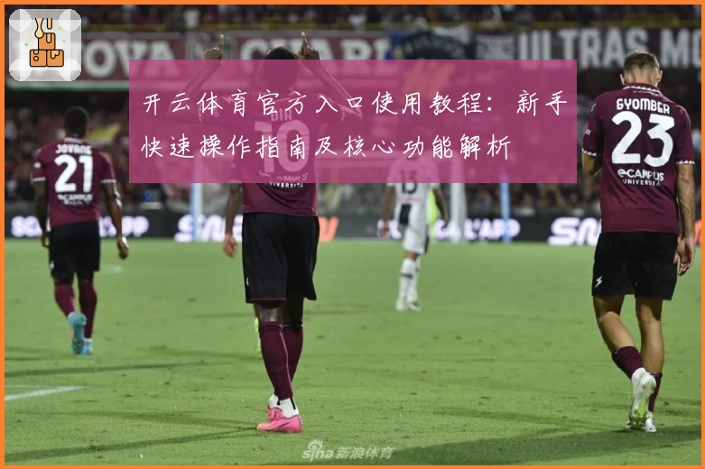 开云体育官方入口使用教程:新手快速操作指南及核心功能解析