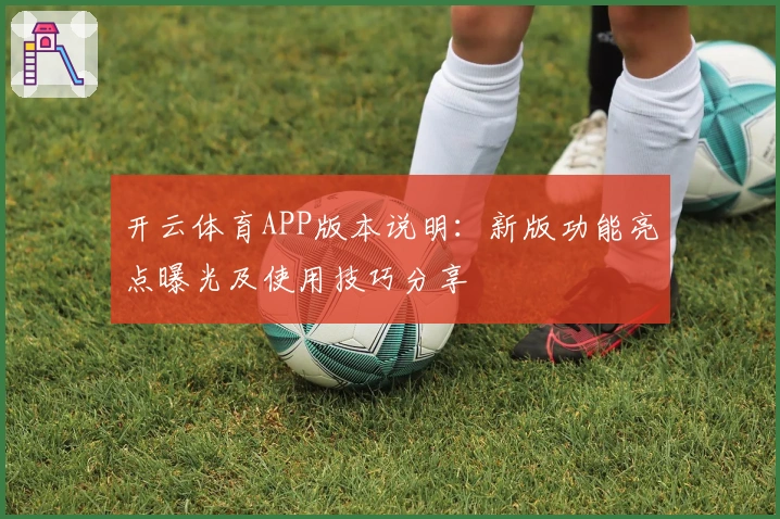 开云体育APP版本说明：新版功能亮点曝光及使用技巧分享