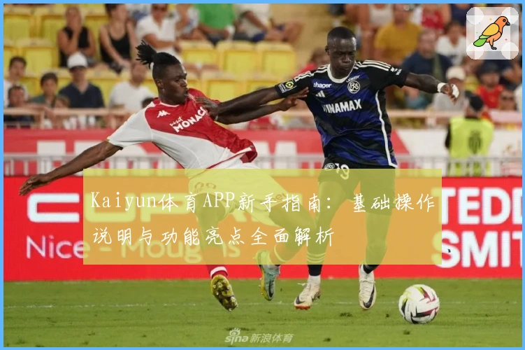 Kaiyun体育APP新手指南：基础操作说明与功能亮点全面解析